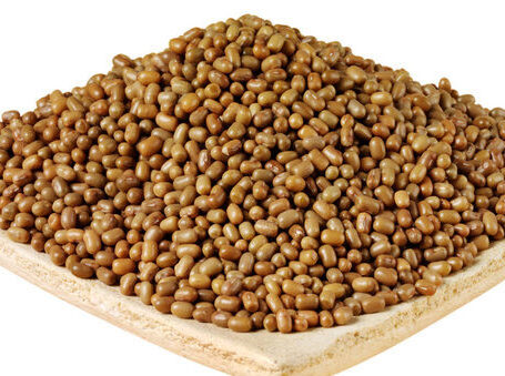 Moth Seeds (Moth Bean / Matki)